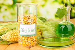 Maes Llyn biofuel availability
